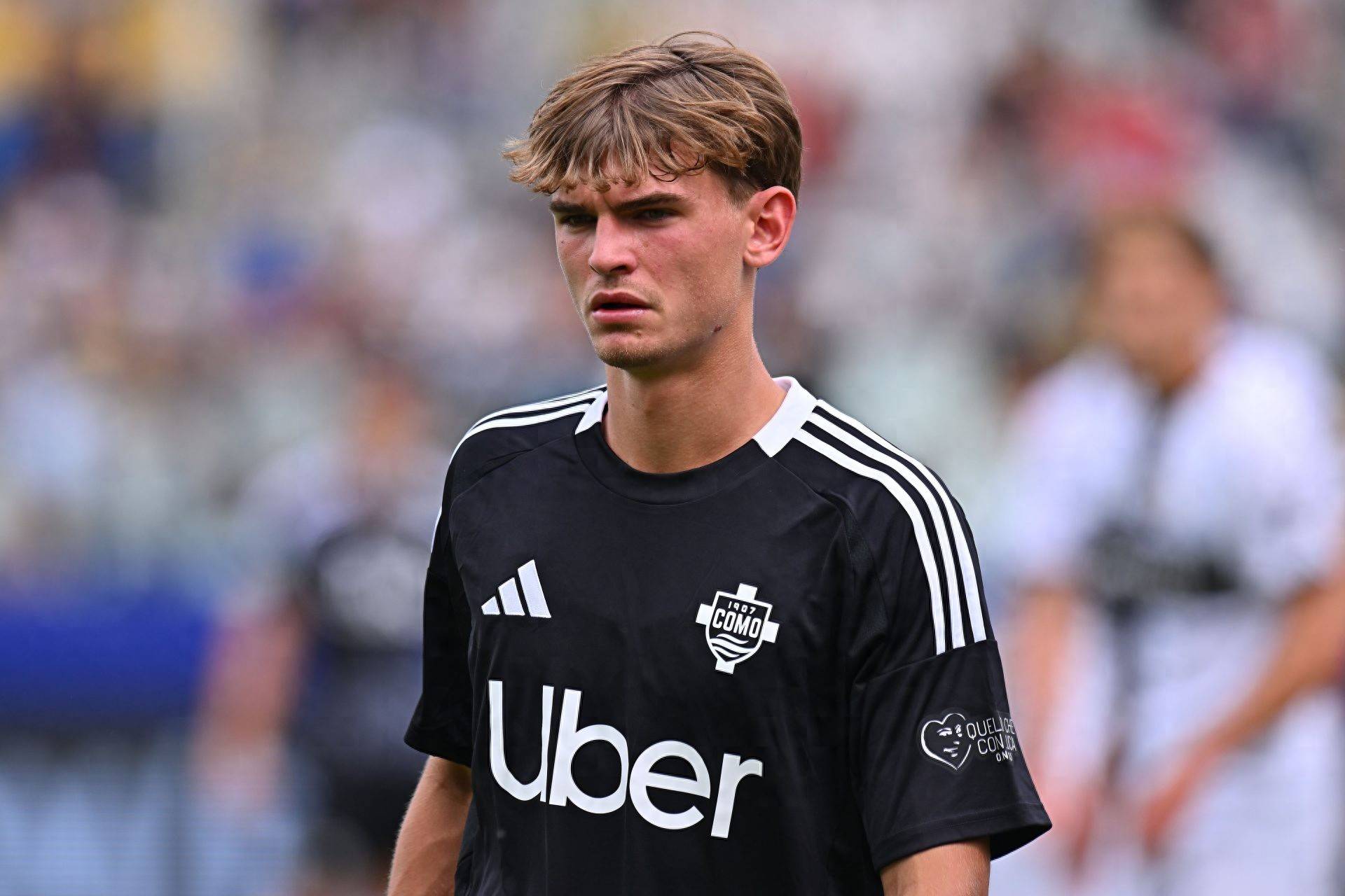 布的研报指 布的研报指