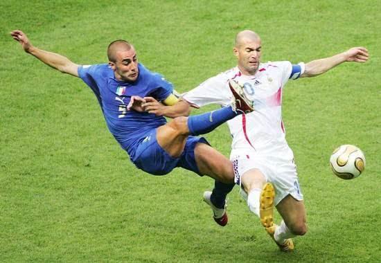 对位天敌 对位天敌